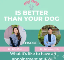 Episode 18: What it’s like to have an appointment at the Integrative Pet Wellness Center